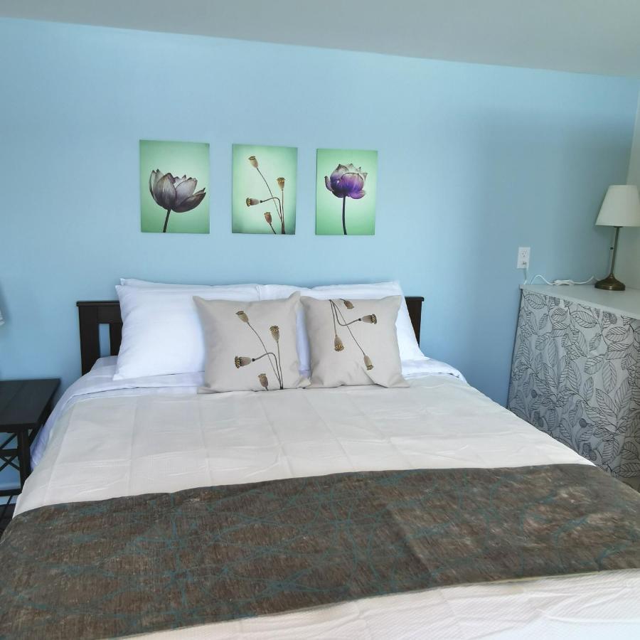 Knotty Pine Ocean Front Suite - Adults Only Ingonish Exterior foto